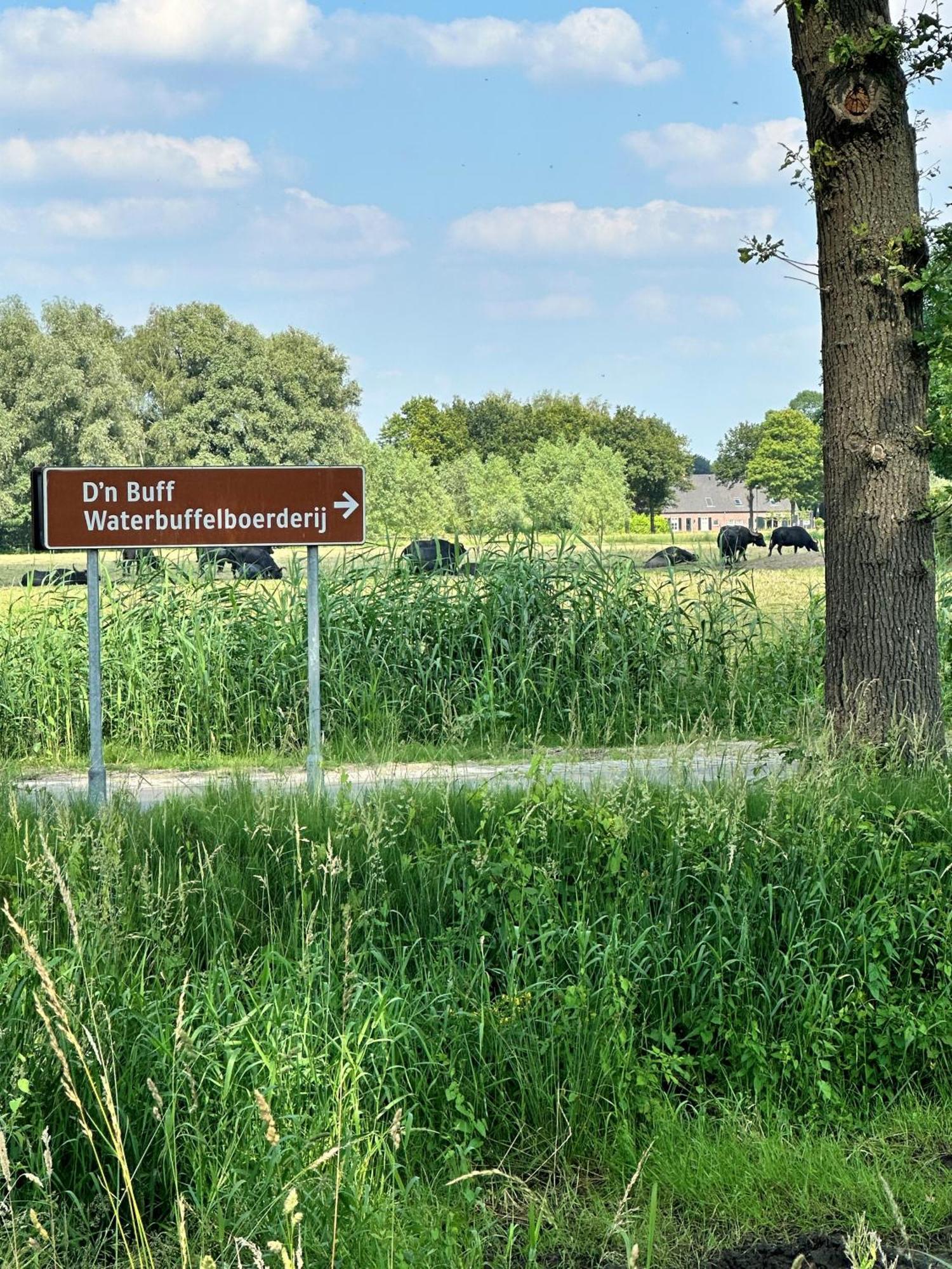 Gasterij Hotel Dennenoord Boxtel Esterno foto
